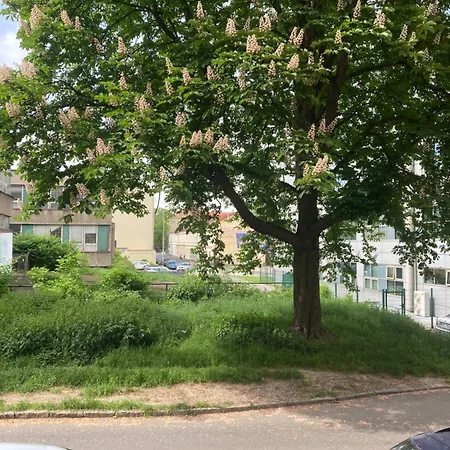 Maia Apartment Ostrava